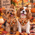 Autumn Dog Bandana with Collar – Pumpkin & Floral Fall Pet Bandana