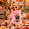 Pet Hoodie — "Treat Thief" Cute Dog Hoodie with Collar Hole